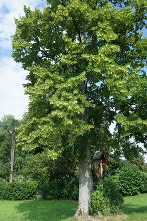 Zuweg von Aschau zur SalzAlpenTour