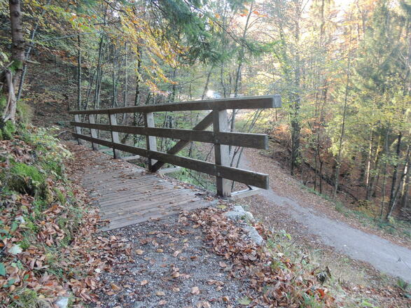 Waldpfad nach Hohenaschau
