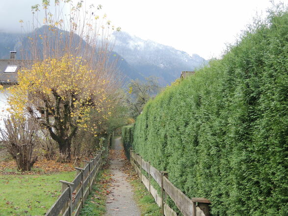 Der Pfad zwischen den Häusern