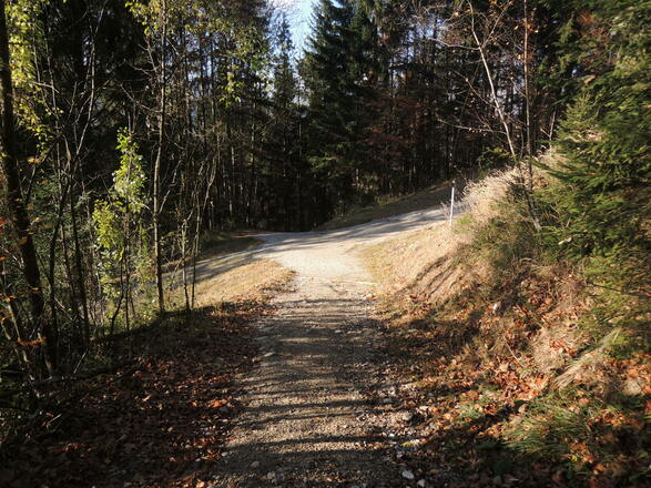 An dieser Gabelung gehen wir geradeaus.