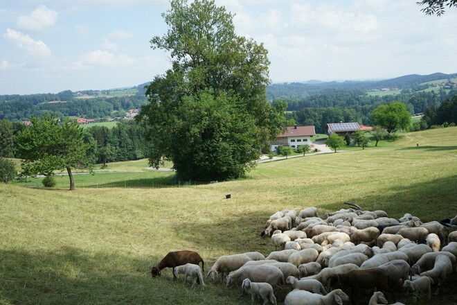 Auf dem Weg nach Frasdorf