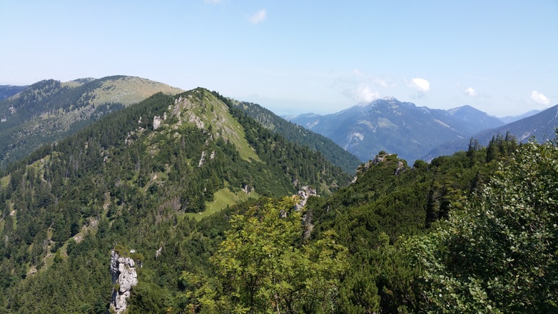 Blick vom Steig auf den Brandlberg, rechts in Wolken die Kampenwand