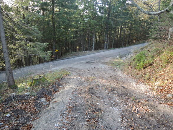 Wir biegen links ab.