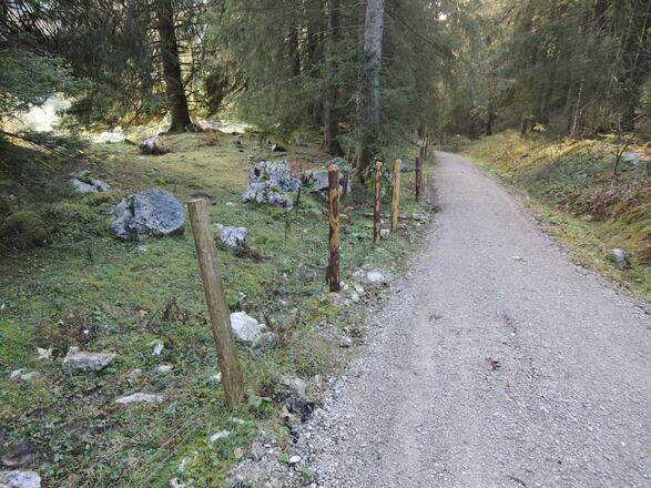Forstweg zum Klausgraben-Tobel