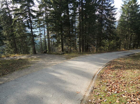 Wir wählen die Abzweigung links.