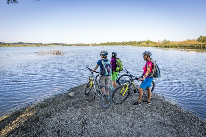 Prienmüdung in den Chiemsee bei Schafwaschen