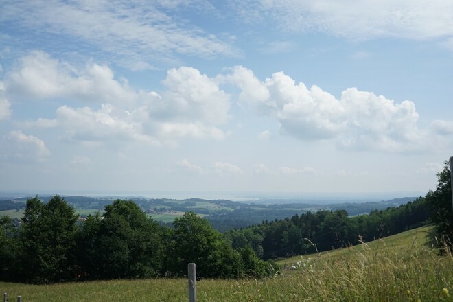 Chiemseeblick vom Sagberg aus