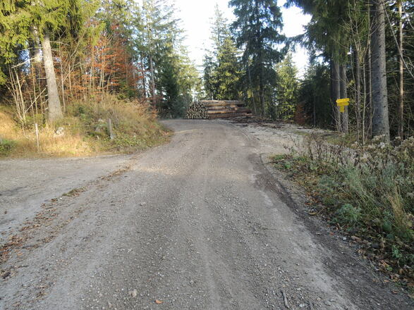 Wir biegen rechts ab.