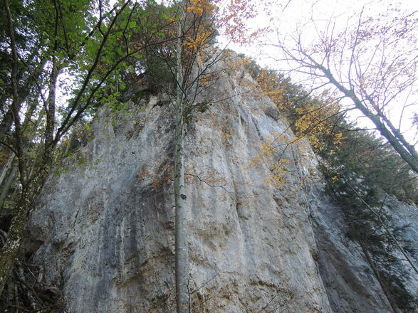 Felswand auf dem Weg nach Aschau
