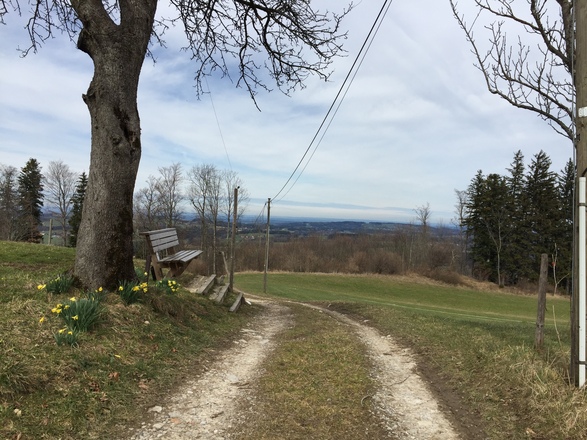Von Vordergschwendt Richtung Abendmahlkapelle