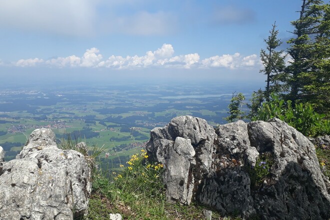 Panoramablick von der Hochries ins Alpenvorland