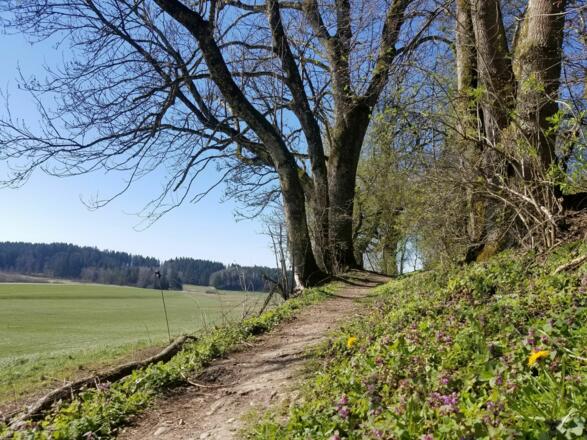Ausblick beim Schindbüchel
