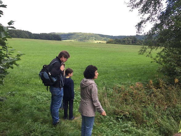 Der Weg überquert den Judenbach