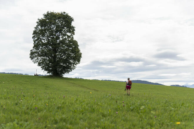 Richtung Scheffau (c) Martin Vogel / Vorarlberg Tourismus
