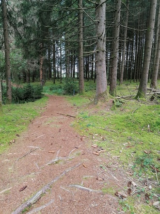 Weg zum Holzweible