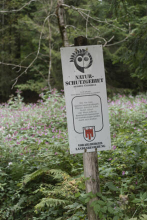 Naturschutzgebiet Hirschberg (c) Martin Vogel / Vorarlberg Tourismus