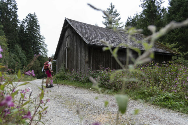 Dampfsäge (c) Martin Vogel / Vorarlberg Tourismus