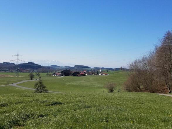 Bei der Berger Höhe