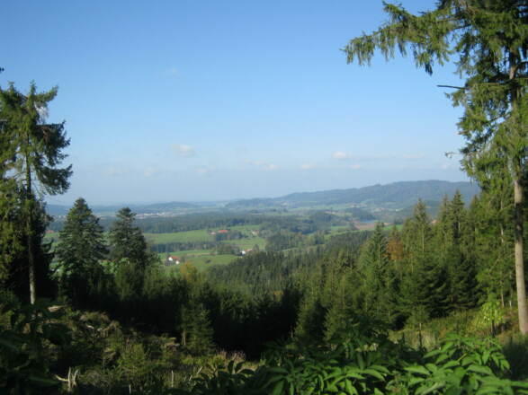 Blick vom Kugel-Alp-Weg