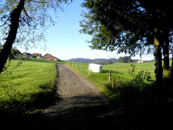 Morgenstimmung bei Forstenhäuser