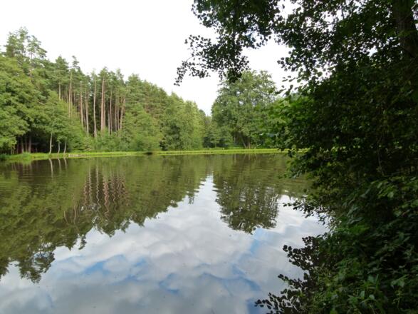 Idyllischer Fichtlesweiher