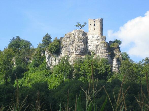 Ruine Neideck