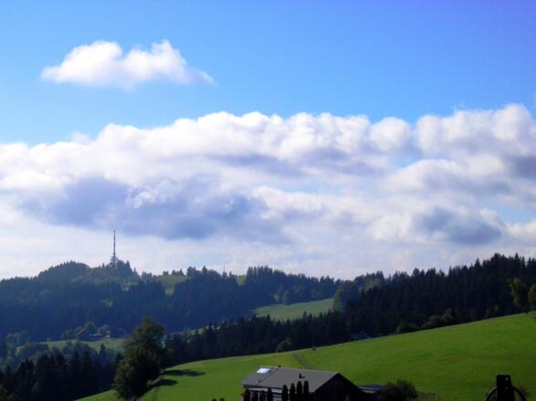 Trögerhöhe: Pfänder in Sicht
