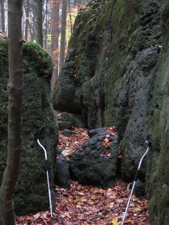 Druidenhain