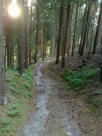 Trail zur Röllmühle