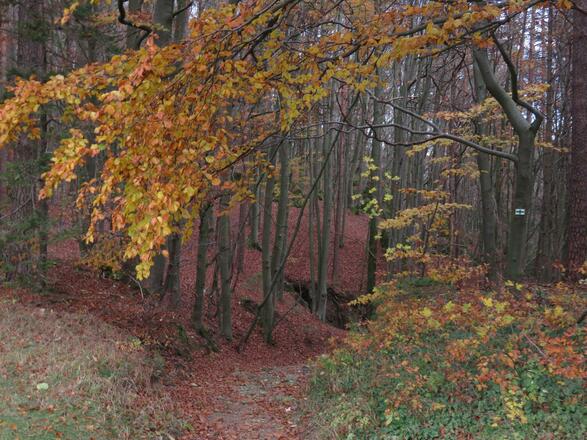 zum Druidenhain
