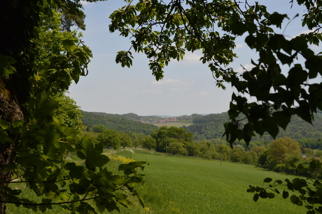 heiter ist der Waldrand