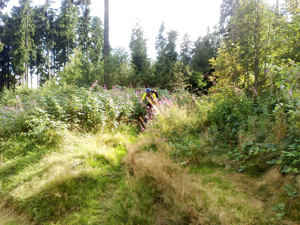 Wo ist der Biker?