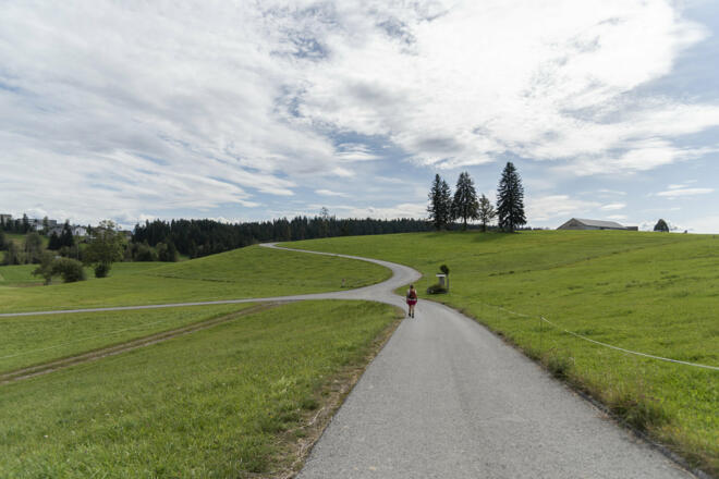 Weg Richtung Sulzberg (c) Martin Vogel / Vorarlberg Tourismus