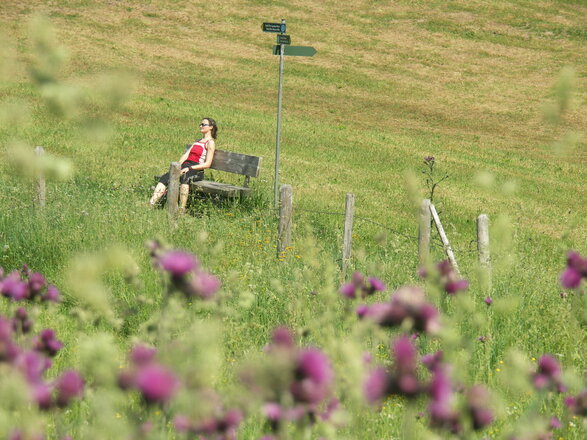 Romantische Bergwiesen.