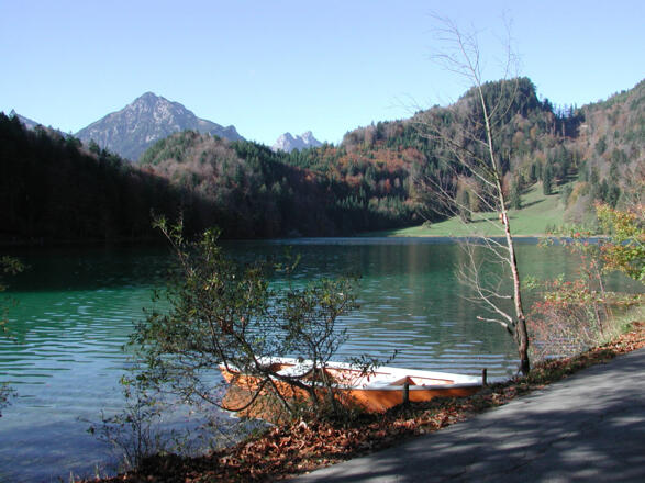 Alatsee
