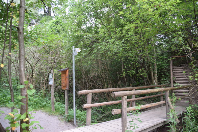 Aufgang zum Lechfall vom Auwaldpfad aus