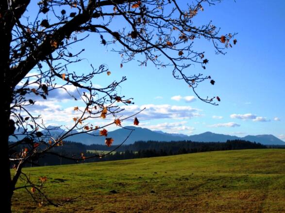 zwischen Marktoberdorf und Fechsen