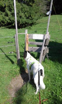 Durchlass für Wanderer an der Viehweide