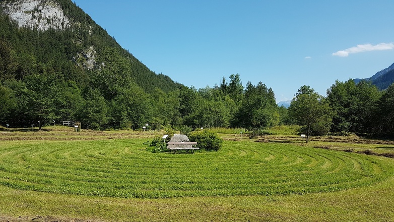 Keltischer Baumkreis