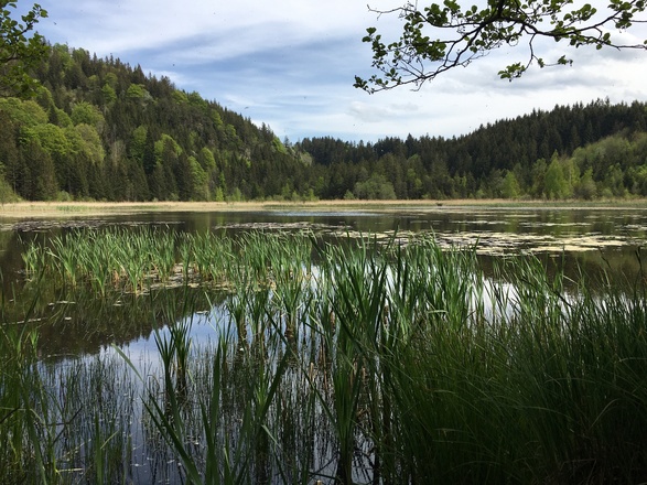Schlossweiher