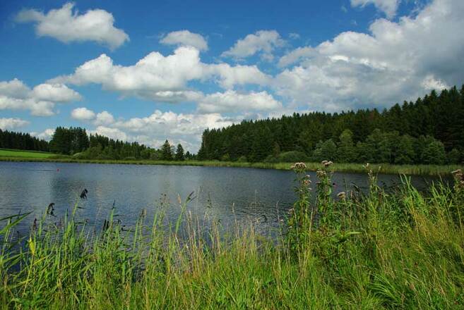 Kuhstallweiher