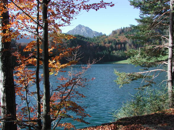 Alatsee Herbst