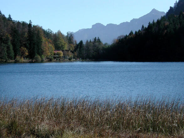 Alatsee