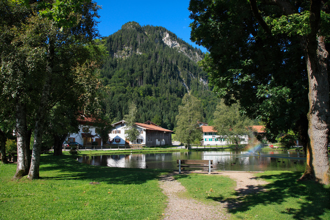 Dorfer Weihner (Foto: E. Reiter)