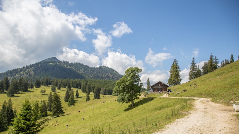 Die Bärenmoosalpe am Kienberg