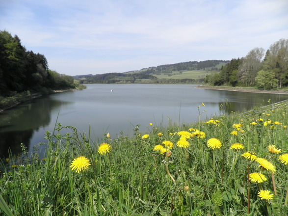 Am Grüntensee-Staudamm