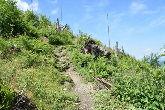 Wanderweg zum Sportheim Böck