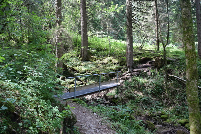 Brücke auf dem Kappeler Höhenweg