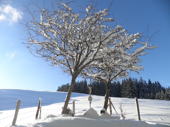Wegkreuz bei der Haslacher Alp