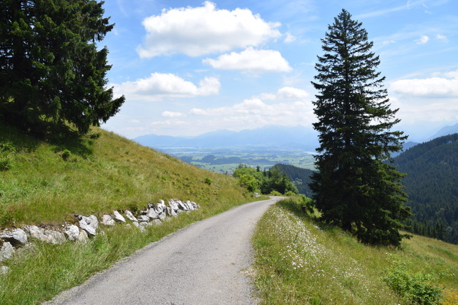 Fahrstraße zur Kappeler Alp